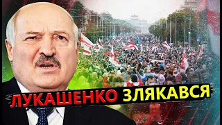 РЕЙТЕРОВИЧ: Наляканий Лукашенко / Бунт у Білорусі можливий?