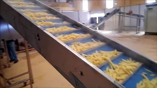 Saatte 500 kg dondurulmuş patates tesisi -CEMNAZ MAKİNA- الخطوط التركية لصناعة البطاطس المجمدة فينكر