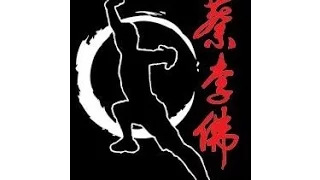 choy lee fut kungfu 蔡李佛功夫