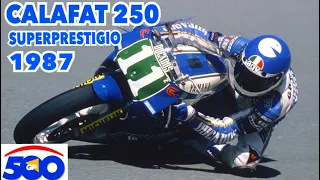 CEV 87 SUPERPRESTIGIO CALAFAT 250 byraulugena