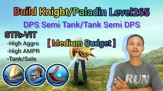 Build Paladin level265 Dps Semi Tank Medium Budget, High Aggro!!! Toram Online