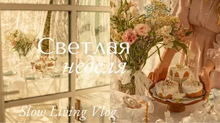 A Bright Week and a Leisurely life | Slow Living Vlog
