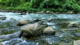 Vízcsobogás • a folyóvíz hangja • Pihentető természet hangjai 1 óra
