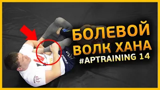 Болевой Волк Хана - Volk Han submission/APTraining 14