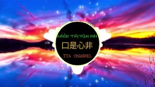 [1 TIẾNG] Khẩu Thị Tâm Phi / 口是心非 Remix - DJ MoonBaby / TTA Channel