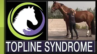 Recognizing Topline Syndrome