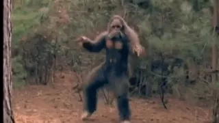 Bigfoot - Sasquatch Caught In The Woods Twirking -Twirking Grassman