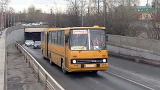 Заказная поездка на автобусе Ikarus 280.03 по Санкт-Петербургу. 09.03.2024г.