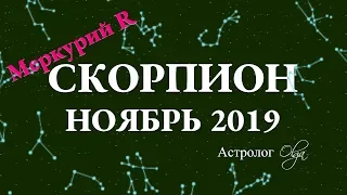 ГОРОСКОП - НОЯБРЬ 2019 для СКОРПИОНА. Меркурий Ретро. Астролог Olga