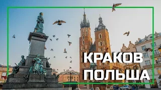 Краков, Польша - что посмотреть за один день в Кракове, замок Вавель, площать Рынок, Ратуша