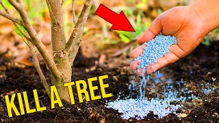 How To Secretly Kill A Tree: Ultimate Guide