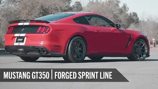S550 GT350 Mustang on 19" APEX EC-7RS and VS-5RS Sprint Line Forged Wheels