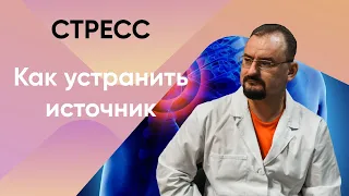 Стресс. Его причина. Как устранить?