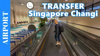 FLIGHT TRANSFER AT SINGAPORE CHANGI Airport - How to Walk to a Connection Flight - Transit Walk