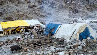 Himalayan Village Life | Nepal | Sheep Shepherd Life | Shepherd Food cooking & Eating | Real Life🇳🇵