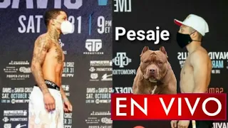 Pesaje Gervonta Davis vs. Pitbull Cruz en vivo