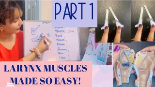 Larynx Muscles, Cavity, Folds Made Super Easy! PART 1