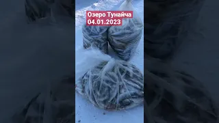 Сахалин озеро Тунайча подледный лов рыбы Селедки.