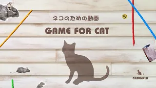 【猫用動画MIX１】ねずみ・ひもなど 30分 GAME FOR CATS 1