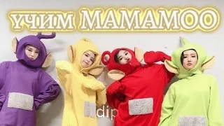 учим группу MAMAMOO/учим различать участниц||dip #kpop #mamamoo