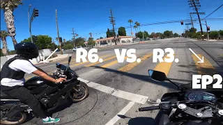 Yamaha R3 vs r6 for beginner riders with one is best?