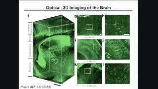 Implantable Optoelectronic and Microfluidic Systems for Neuroscience