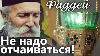 Как выдержать искушения современной жизни? Не надо отчаиваться! Фаддей Витовницкий