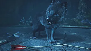 Assassin’s Creed Valhalla - Loki’s Son Fenrir Attacks Odin // First Wolf Boss Fight