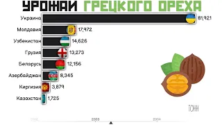 Страны бывшего СССР по урожаю грецкого ореха.Сравнение стран.Рейтинг стран.Инфографика.Статистика🌰