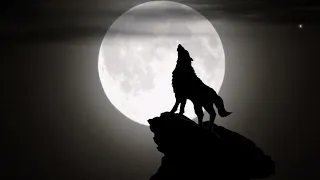 Wolf Howling Sound Effect HQ