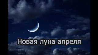 "Новая луна апреля" (cover)