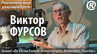 Виктор ФУРСОВ, канал «Dr Victor Fursov, Entomologist, Beekeeper, Teacher». Реальный мир рекомендует!