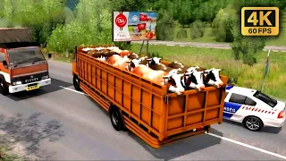 MITSUBISHI FUSO Cattle Truck ON Indian Roads | Euro Truck Simulator 2 | Gameplay + Link (1.35 -1.47)