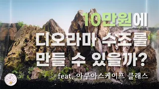 물속 세상을 만드는 '아쿠아스케이프', 10만원에 디오라마 만들기