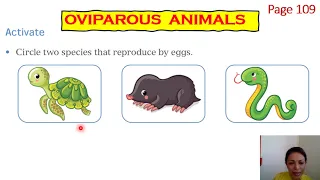 VIVIPAROUS, OVIPAROUS AND OVOVIVIPAROUS