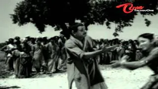 Kalasi Vunte Kaladu Sukham - Telugu Songs - Bangaram Bhadradri Ramudu - NTR - Savitri