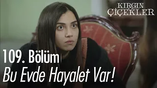 Bu evde hayalet var - Kırgın Çiçekler 109. Bölüm