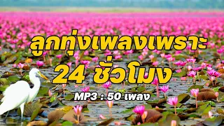 ลูกทุ่งเพลงเพราะ 24 ชั่วโมง  | MP3 : 50 เพลง ฟังต่อเนื่องยาวๆ