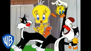 Looney Tunes | I Taut I Taw a Putty Tat! | Classic Cartoon Compilation | WB Kids