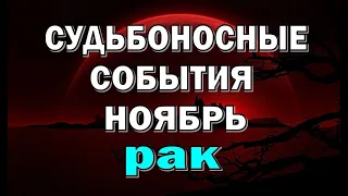 РАК ✨ СЧАСТЬЕ в ЛЮБВИ ✨ НОЯБРЬ. Таро прогноз гороскоп гадание