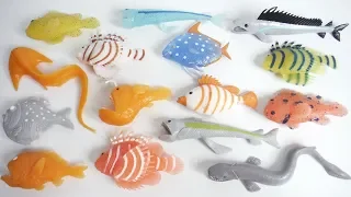 SEA MONSTERS & Co. "unboxing" squishy DeAgostini Japanese candy toys