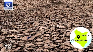 Worst In 40 Years, Drought Threatens Farmers In Kenya + More | Eco Africa