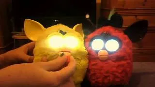 my furbys