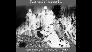 Transistorwald ‎– Рождение Атома Духа [2010] full album, HQ ✓