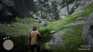 Red Dead Redemption 2 : Funny moment with Legendary grizzly bear !!!😆