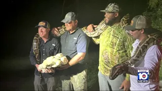 Former pro boxer brings in possibly longest python caught in Florida this year