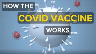 How the COVID-19 vaccine works