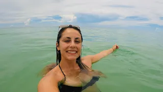 Lido Beach on the Florida Gulf Coast | A Chill Beach Vlog