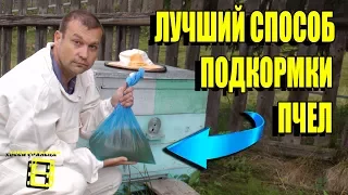 СУПЕР СПОСОБ ПОДКОРМКИ ПЧЕЛ САХАРНЫМ СИРОПОМ НА ЗИМУ. ЛЮБИТЕЛЬСКОЕ ПЧЕЛОВОДСТВО