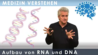 Aufbau von RNA und DNA - super verständlich│Dr. Dr. Damir del Monte│Encephalon Medizin-Videos